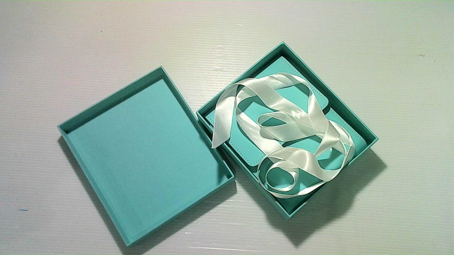 bag from Tiffany & Co.
