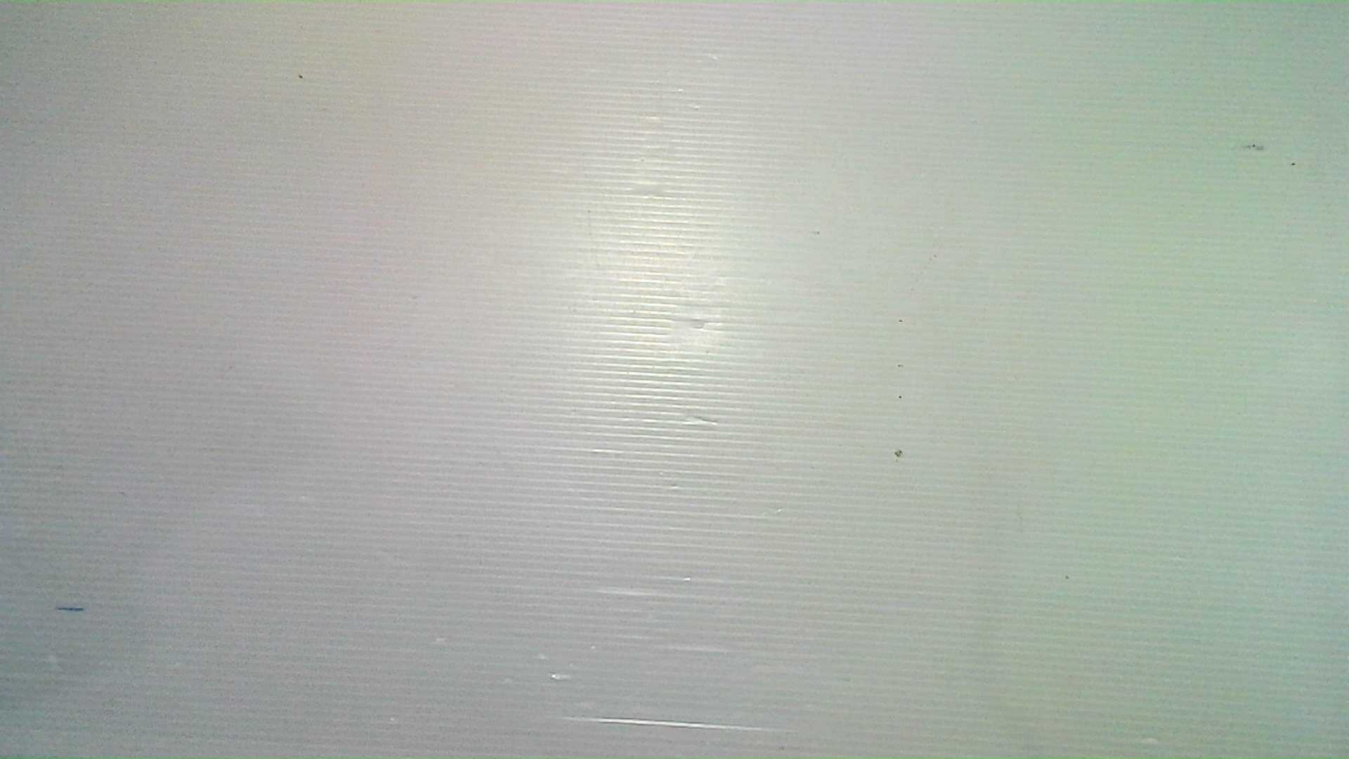 Rasyan Toothpaste with Herbs and Cloves