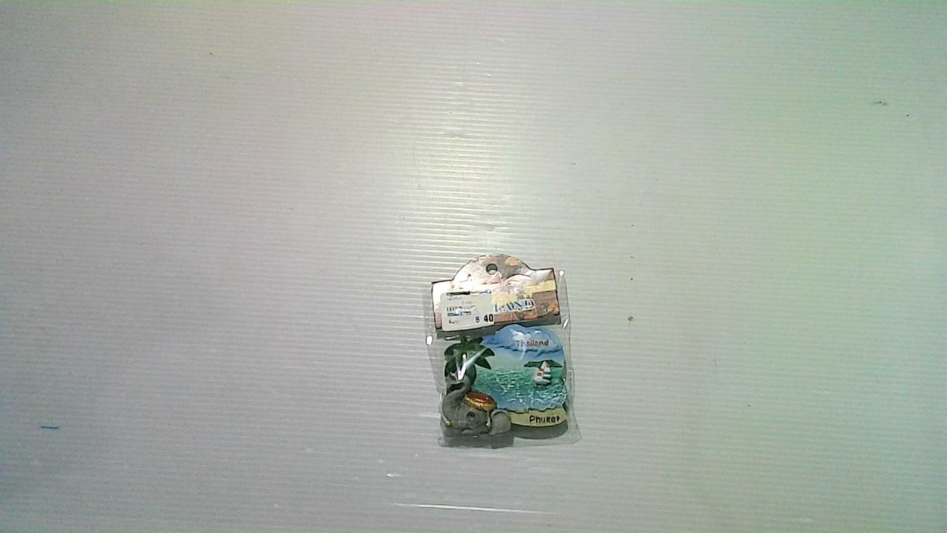 souvenir magnet