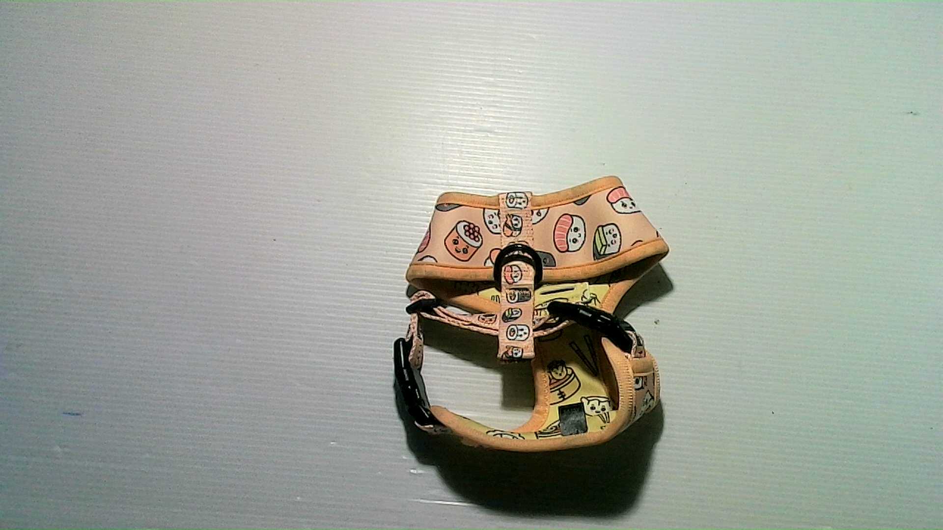 cat clothes with leash trainer