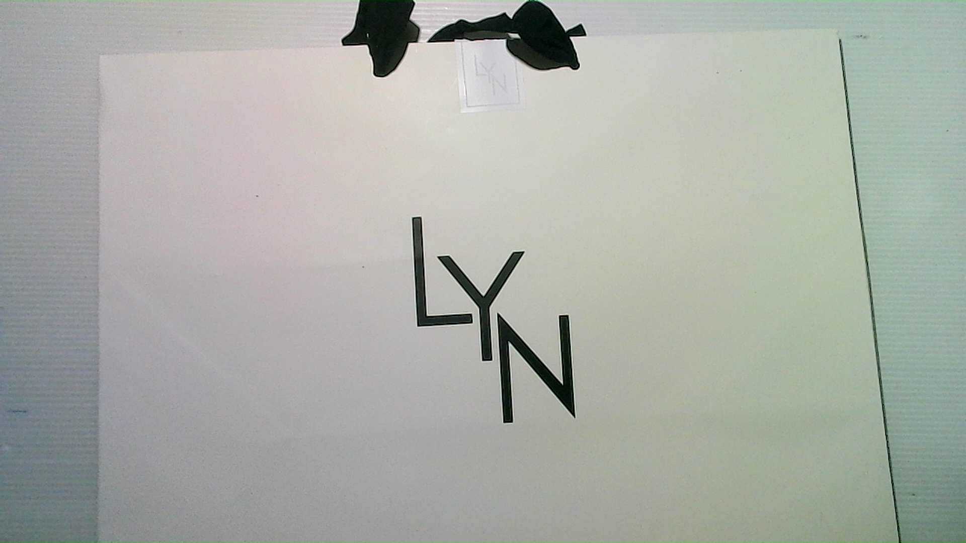 LYN paper grocery bag